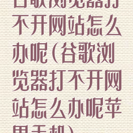 谷歌浏览器打不开网站怎么办呢(谷歌浏览器打不开网站怎么办呢苹果手机)