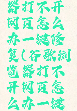 谷歌浏览器打不开网页怎么办一键修复(谷歌浏览器打不开网页怎么办一键修复软件)