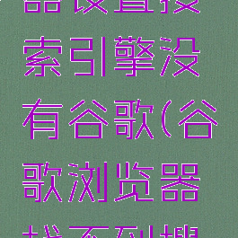 谷歌浏览器设置搜索引擎没有谷歌(谷歌浏览器找不到搜索设置)