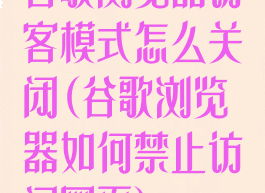 谷歌浏览器访客模式怎么关闭(谷歌浏览器如何禁止访问网页)