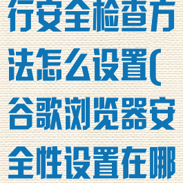 谷歌浏览器进行安全检查方法怎么设置(谷歌浏览器安全性设置在哪)