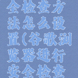 谷歌浏览器进行安全检查方法怎么设置(谷歌浏览器进行安全检查方法怎么设置的)