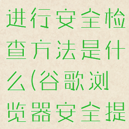 谷歌浏览器进行安全检查方法是什么(谷歌浏览器安全提示)