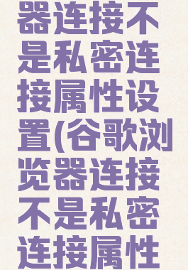 谷歌浏览器连接不是私密连接属性设置(谷歌浏览器连接不是私密连接属性设置吗)