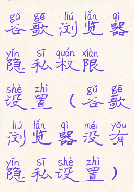 谷歌浏览器隐私权限设置(谷歌浏览器没有隐私设置)