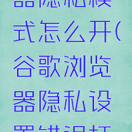 谷歌浏览器隐私模式怎么开(谷歌浏览器隐私设置错误打不开网页)