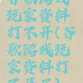 谷歌游戏玩家资料打不开(谷歌游戏玩家资料打不开了)