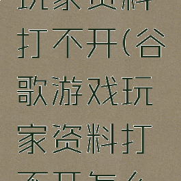 谷歌游戏玩家资料打不开(谷歌游戏玩家资料打不开怎么办)