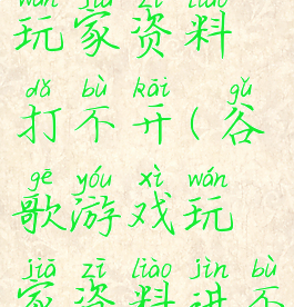 谷歌游戏玩家资料打不开(谷歌游戏玩家资料进不去)
