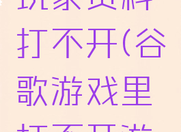 谷歌游戏玩家资料打不开(谷歌游戏里打不开游戏)