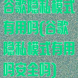 谷歌隐私模式有用吗(谷歌隐私模式有用吗安全吗)