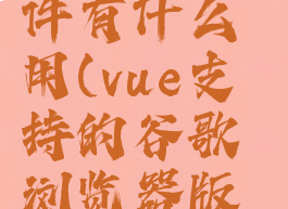 谷歌vue插件有什么用(vue支持的谷歌浏览器版本)