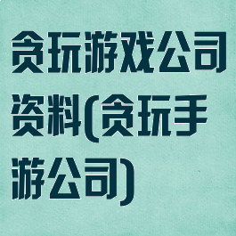 贪玩游戏公司资料(贪玩手游公司)