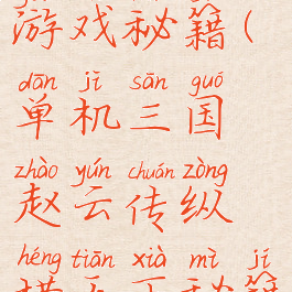 赵云单机游戏秘籍(单机三国赵云传纵横天下秘籍)