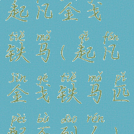 起凡金戈铁马(起凡金戈铁马匹配不到人)