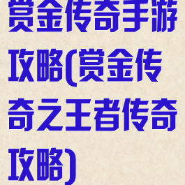 赏金传奇手游攻略(赏金传奇之王者传奇攻略)