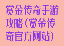 赏金传奇手游攻略(赏金传奇官方网站)