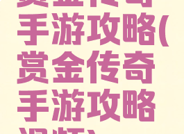 赏金传奇手游攻略(赏金传奇手游攻略视频)