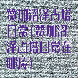 赞加沼泽占塔日常(赞加沼泽占塔日常在哪接)