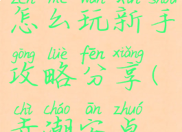 赤潮手游怎么玩新手攻略分享(赤潮安卓版)