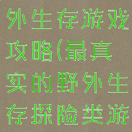 超真实的野外生存游戏攻略(最真实的野外生存探险类游戏)