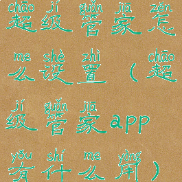 超级管家怎么设置(超级管家app有什么用)