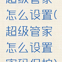 超级管家怎么设置(超级管家怎么设置密码保护)