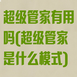 超级管家有用吗(超级管家是什么模式)