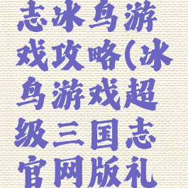 超级三国志冰鸟游戏攻略(冰鸟游戏超级三国志官网版礼包)