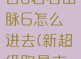 超级路易吉u岩石山脉6怎么进去(新超级路易吉u攻略)