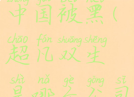 超凡双生中国被黑(超凡双生是哪个公司)