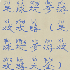 足球坑爹游戏攻略(足球坑爹游戏攻略大全)