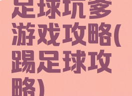 足球坑爹游戏攻略(踢足球攻略)