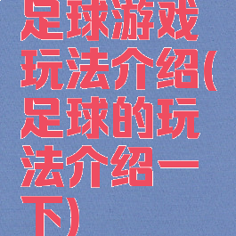 足球游戏玩法介绍(足球的玩法介绍一下)
