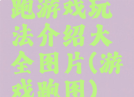 跑游戏玩法介绍大全图片(游戏跑图)