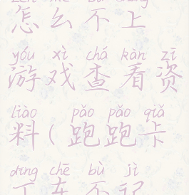 跑跑卡丁车怎么不上游戏查看资料(跑跑卡丁车不记得账号)