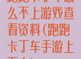 跑跑卡丁车怎么不上游戏查看资料(跑跑卡丁车手游上不去)