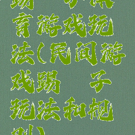 踢毽子体育游戏玩法(民间游戏踢毽子玩法和规则)