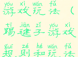 踢毽子体育游戏玩法(踢毽子游戏规则和玩法)