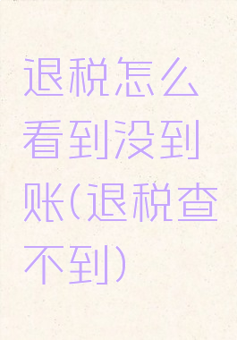 退税怎么看到没到账(退税查不到)