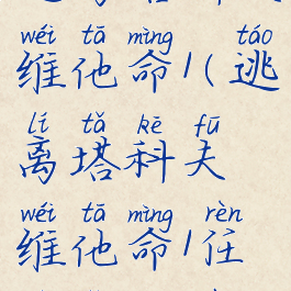 逃离塔科夫维他命1(逃离塔科夫维他命1任务怎么做)