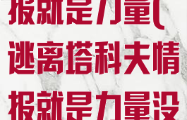 逃离塔科夫情报就是力量(逃离塔科夫情报就是力量没有摄像头)