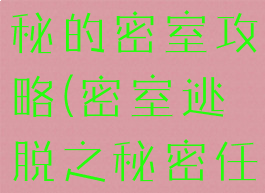 逃脱游戏神秘的密室攻略(密室逃脱之秘密任务攻略)