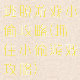 逃脱游戏小偷攻略(抓住小偷游戏攻略)