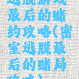 逃脱游戏最后的赌约攻略(密室逃脱最后的赌局攻略)