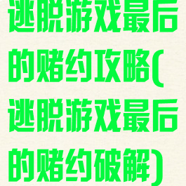 逃脱游戏最后的赌约攻略(逃脱游戏最后的赌约破解)