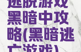 逃脱游戏黑暗中攻略(黑暗逃亡游戏)