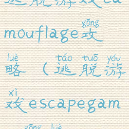逃脱游戏camouflage攻略(逃脱游戏escapegames攻略)