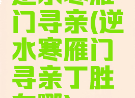 逆水寒雁门寻亲(逆水寒雁门寻亲丁胜在哪)