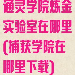 通灵学院炼金实验室在哪里(捕获学院在哪里下载)